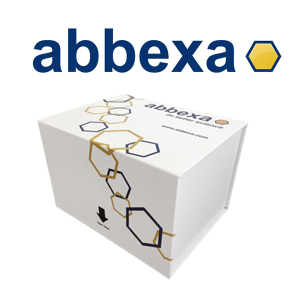 Bovine Serum Albumin (BSA) ELISA Kit,Bovine Serum Albumin (BSA) ELISA Kit