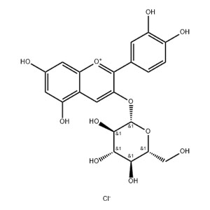 矢車菊素葡萄糖苷,Kuromanin chLoride