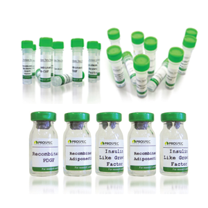 Recombinant Human Insulin Like Growth Factor-1 N15 Labeled,Recombinant Human Insulin Like Growth Factor-1 N15 Labeled