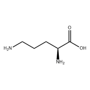 L-鸟氨酸,L-Ornithine