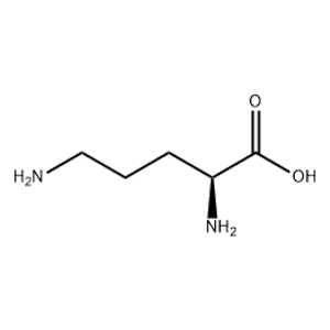 L-鳥氨酸