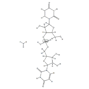 尿酸酶,Uricase