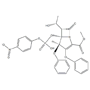 蛋白酶K,Proteinase K From Tritirachium Album