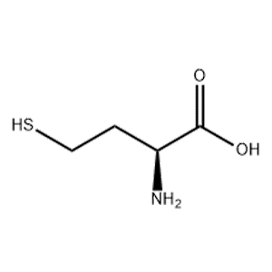 DL-高半胱氨酸,DL-Homocysteine