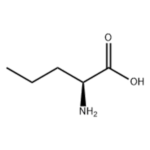 DL-正缬氨酸