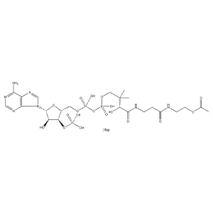 乙酰辅酶A,Acetyl CoA