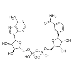 氧化型輔酶Ⅰ,β-Nicotinamide Adenine Dinucleotide