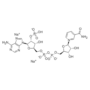 氧化型辅酶Ⅱ二钠,β-Nicotinamide Adenine Dinucleotide Phosphate Disodium Salt