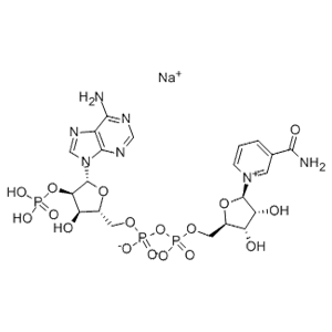 氧化型辅酶Ⅱ单钠盐,β-Nicotinamide Adenine Dinucleotide Phosphate Sodium Salt