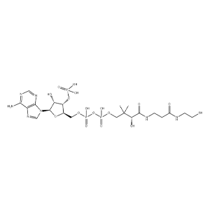 輔酶A,Coenzyme A Hydrate