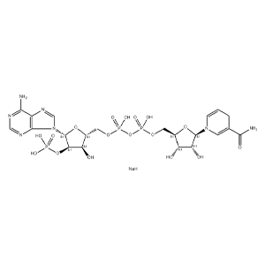 還原輔酶Ⅱ四鈉鹽水合物,β-Nicotinamide Adenine Dinucleotide 2′-phosphate Reduced Tetrasodium Salt Hydrate