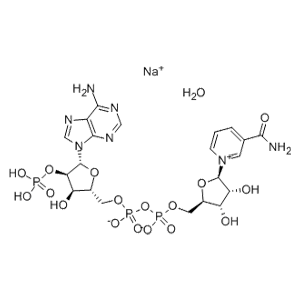 氧化型辅酶Ⅱ单钠盐水合物,β-NADP Hydrate