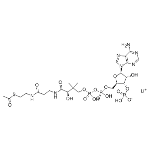 乙酰辅酶A三锂盐,Acetyl CoA Trilithium Salt