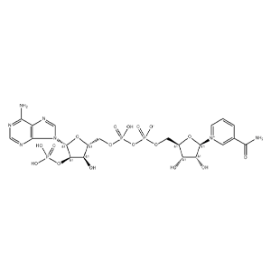 氧化型辅酶Ⅱ自由酸,β-Nicotinamide Adenine Dinucleotide Phosphate Hydrate