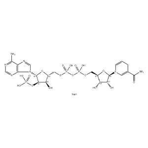 還原輔酶Ⅱ四鈉鹽水合物