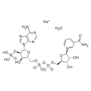 氧化型辅酶Ⅱ单钠盐水合物