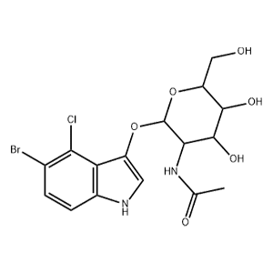 5-溴-4氯-3-吲哚N-乙酰-β-D-氨基半乳糖苷,5-Bromo-4-chloro-3-indolyl N-acetyl-β-D-galactosaminide