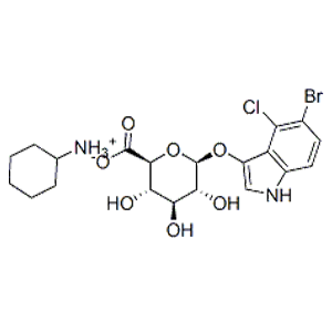 5-溴-4-氯-3-吲哚基-β-D-葡萄苷酸环己氨盐