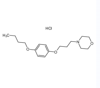 盐酸普莫卡因,Pramoxine hydrochloride