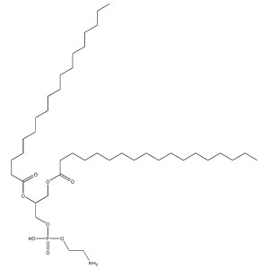 磷脂酰乙醇胺,PhosphatidylethanolaMine