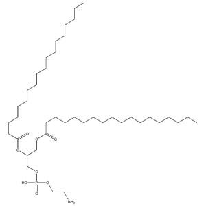 磷脂酰乙醇胺,PhosphatidylethanolaMine