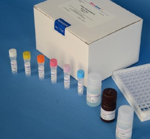 人血管紧张素Ⅰ受体抗体(ANG-ⅠR)Elisa试剂盒,ANG-ⅠR
