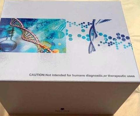 人抗中性粒细胞颗粒抗体(ANGA)Elisa试剂盒,ANGA