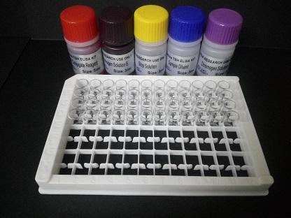 人卵泡抑素(FS)Elisa试剂盒,Ang-Ⅰ