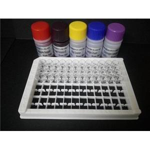 人促胰液素/分泌素受体(SR)Elisa试剂盒,SR