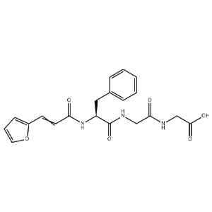 N-(3-(2-呋喃酰)丙烯酰-苯氨酰-谷氨酰-谷氨酸,N-?[3-?(2-?Furyl)?acryloyl]?-L-?phenylalanyl-?glycyl-?glycine