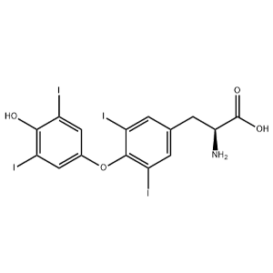 L-甲狀腺素,L-Thyroxine