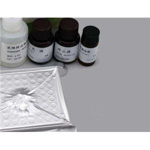人中性粒细胞弹性蛋白酶(NE)Elisa试剂盒