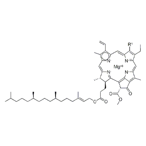 叶绿素AB混合物?(油溶),Chlorophyll?(Oil-solubility)