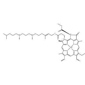 叶绿素B,Chlorophyll B