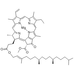 葉綠素A,Chlorophyll A