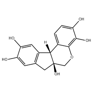 蘇木色精,Hematoxylin