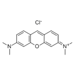 派洛寧Y,Pyronin Y