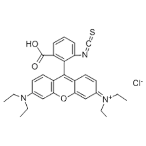 异硫氰酸玫瑰红B,Rhodamin B Isothiocyanate