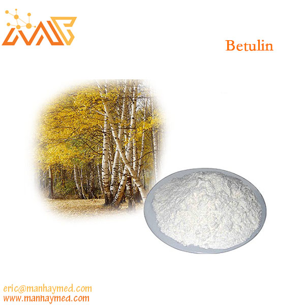 白樺脂醇,Betulin