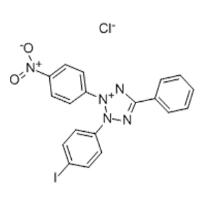 碘硝基氯化四氮唑藍,Iodonitrotetrazolium