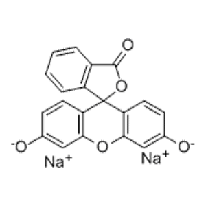荧光素钠,Uranine