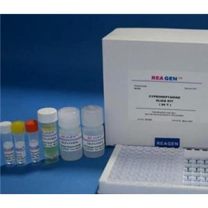人血管生长素(ANG)Elisa试剂盒