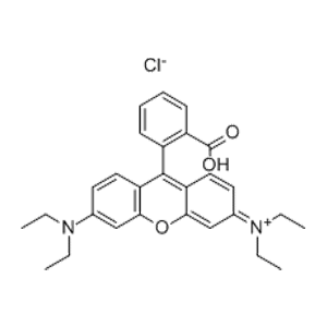 羅丹明B,Rhodamine B