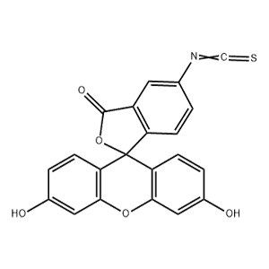 异硫氰酸荧光素,Fluorescein Isothiocyanate