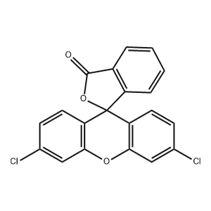 3'，6'-二氯荧光素,3',6'-Dichlorofluoran