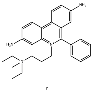 碘化丙啶,Propidium Iodide