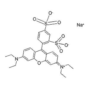 丽丝胺罗丹明B,Sulforhodamine B