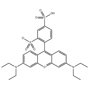 磺酰羅丹明B,Sulforhodamine B