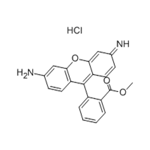 罗丹明123