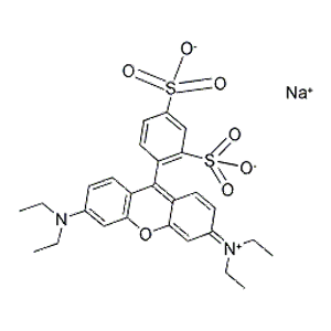 丽丝胺罗丹明B,Sulforhodamine B